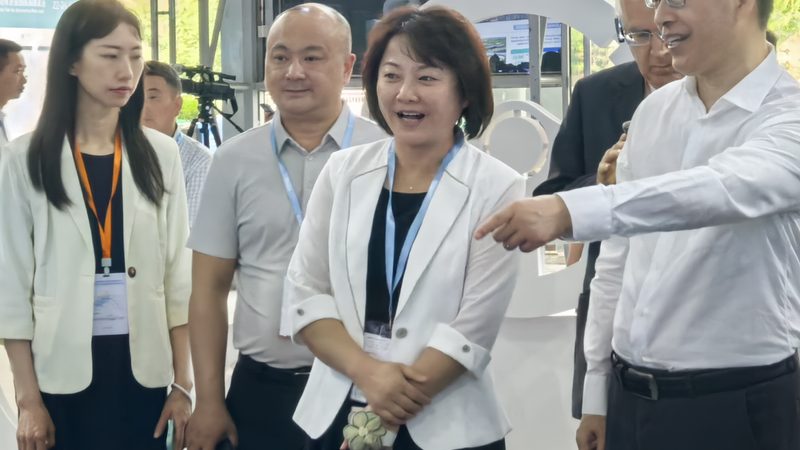 广州汽配城批发价格背后的行业秘密